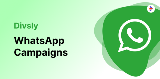 A Deep Dive into Divsly: The Best Tool for WhatsApp Marketing
