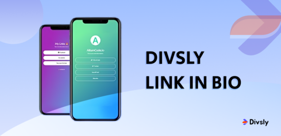 Divsly: The Best Link in Bio Tool for Streamlining Your Online Presence