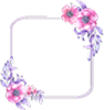 Fancy frame 1